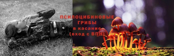 2c-b Белокуриха