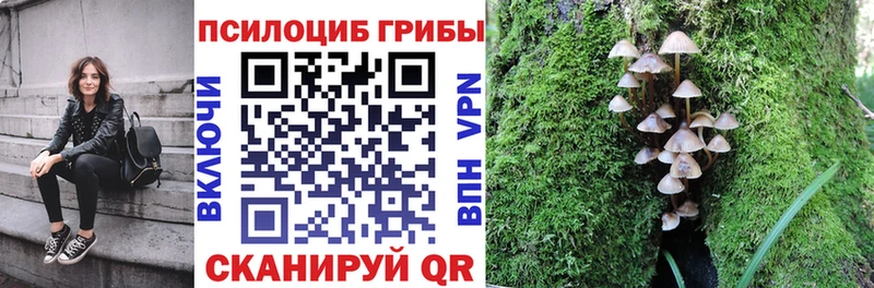 сколько стоит  Валуйки  Псилоцибиновые грибы Cubensis 